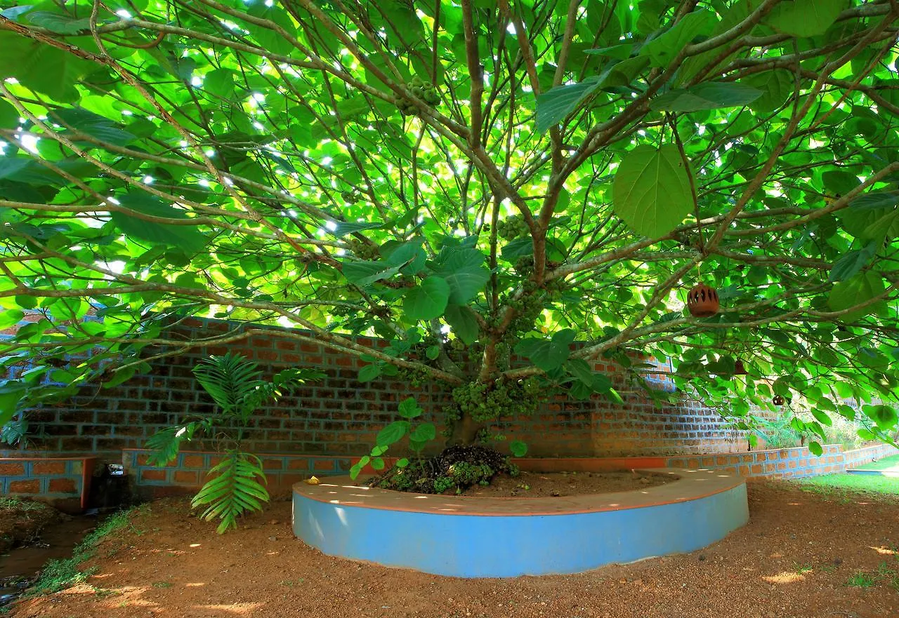 The Village Angamaly